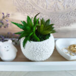 Pozsgás gömb kaspó (C)